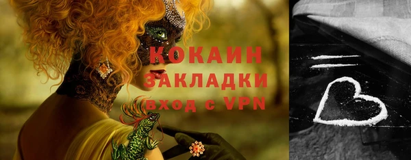 шишки Вяземский