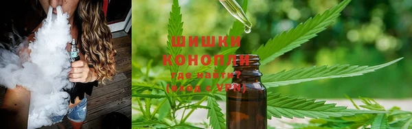 шишки Вяземский