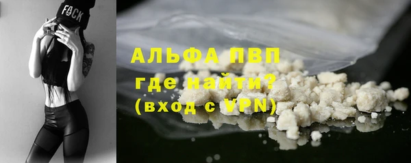 шишки Вяземский