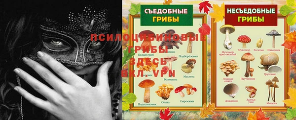 мдма Горняк