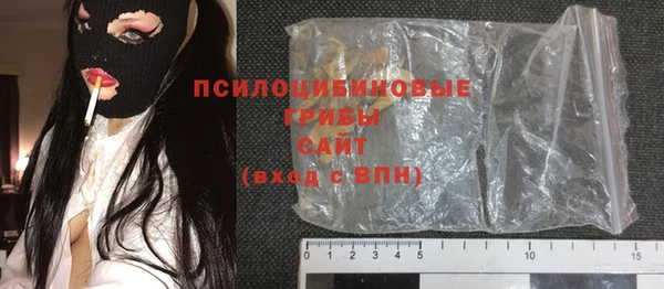 шишки Вяземский