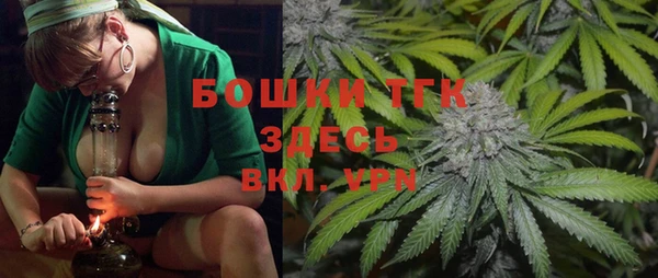 шишки Вяземский