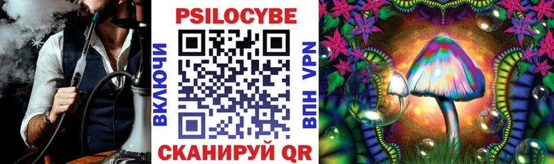 Купить где  Курганинск  Псилоцибиновые грибы Cubensis 